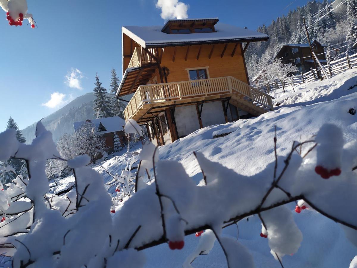 Villa Бриндуш Tatariv Esterno foto