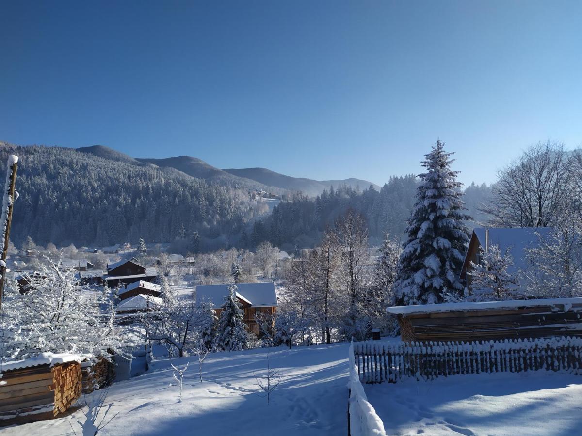 Villa Бриндуш Tatariv Esterno foto