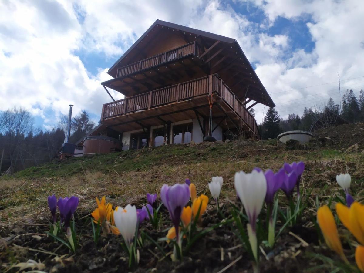 Villa Бриндуш Tatariv Esterno foto